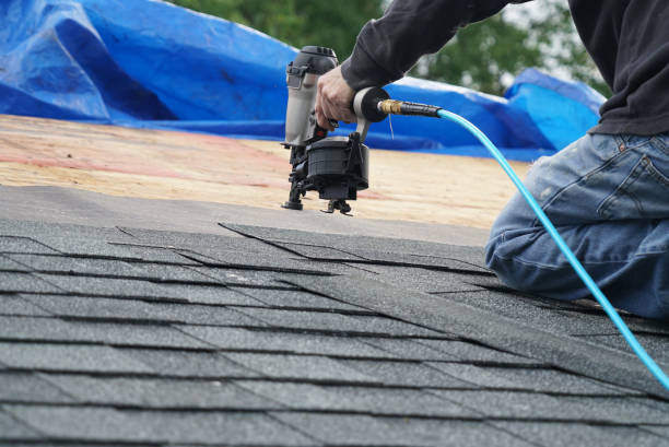 Best Roof Gutter Cleaning  in Edneyville, NC